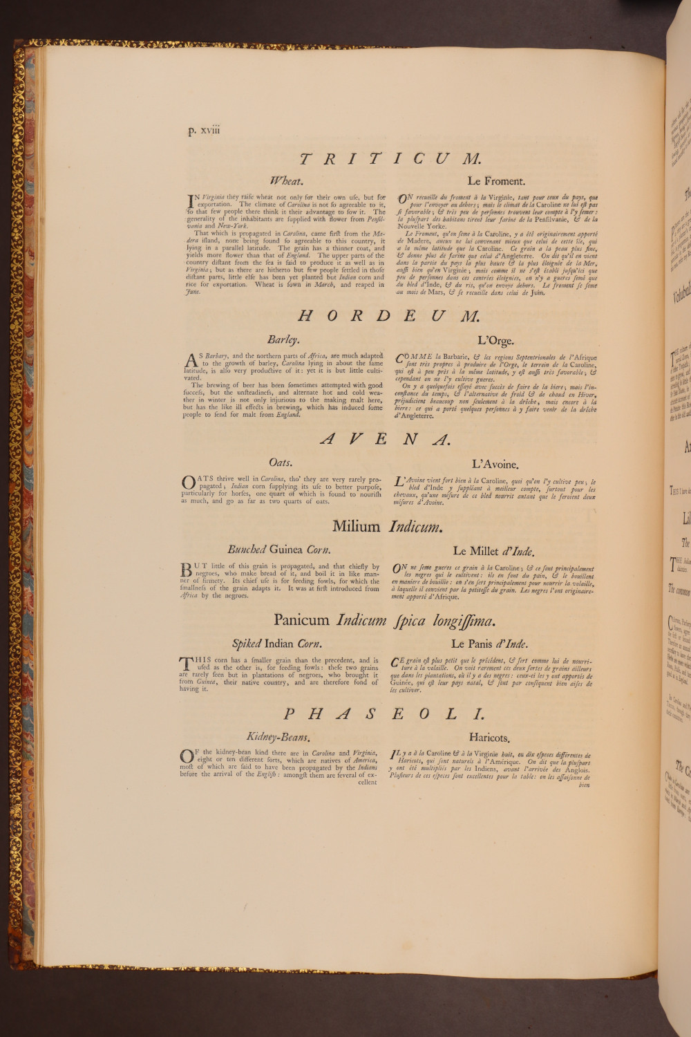 Page xviii